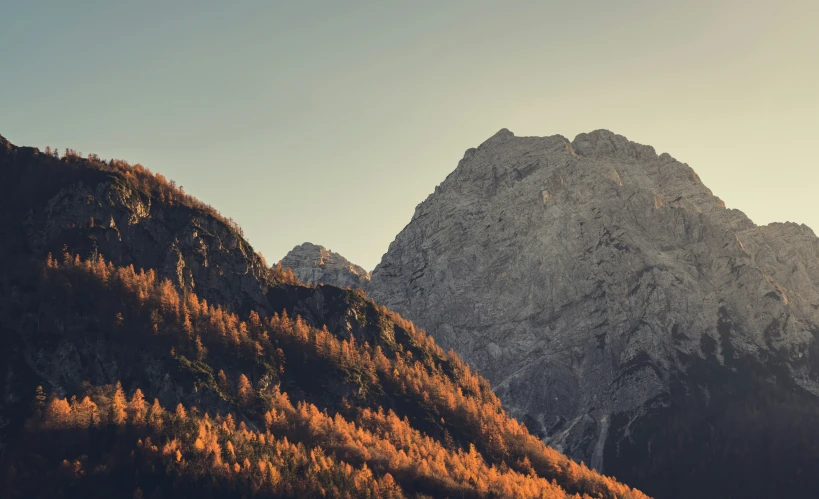 a mountain with trees around it and one tree on the top