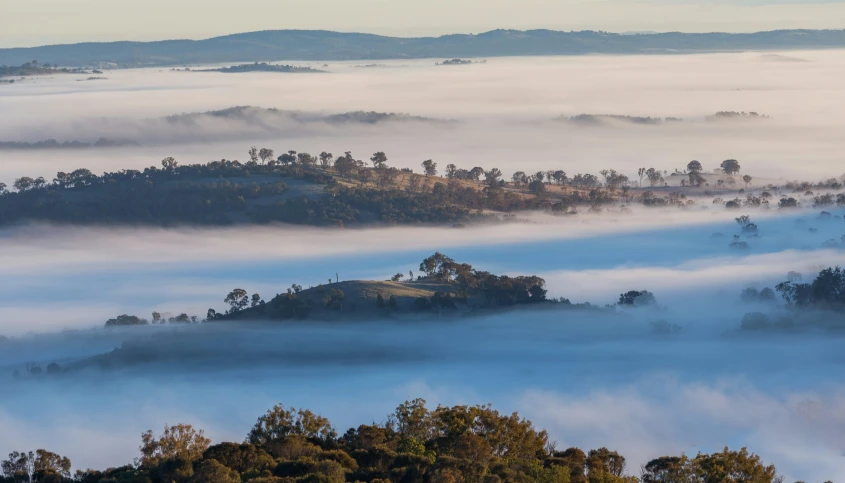 mist covering the hills and trees as seen from above