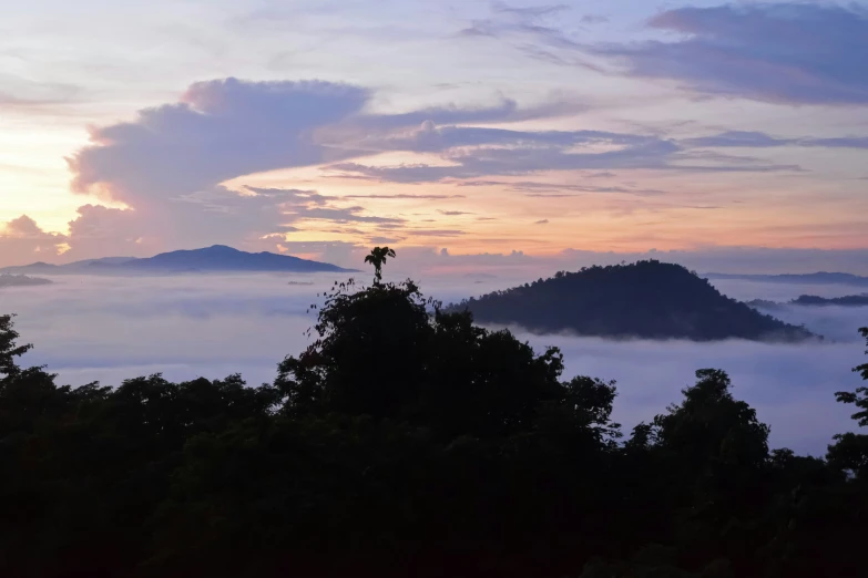 mountains and trees on a cloudy day above the clouds