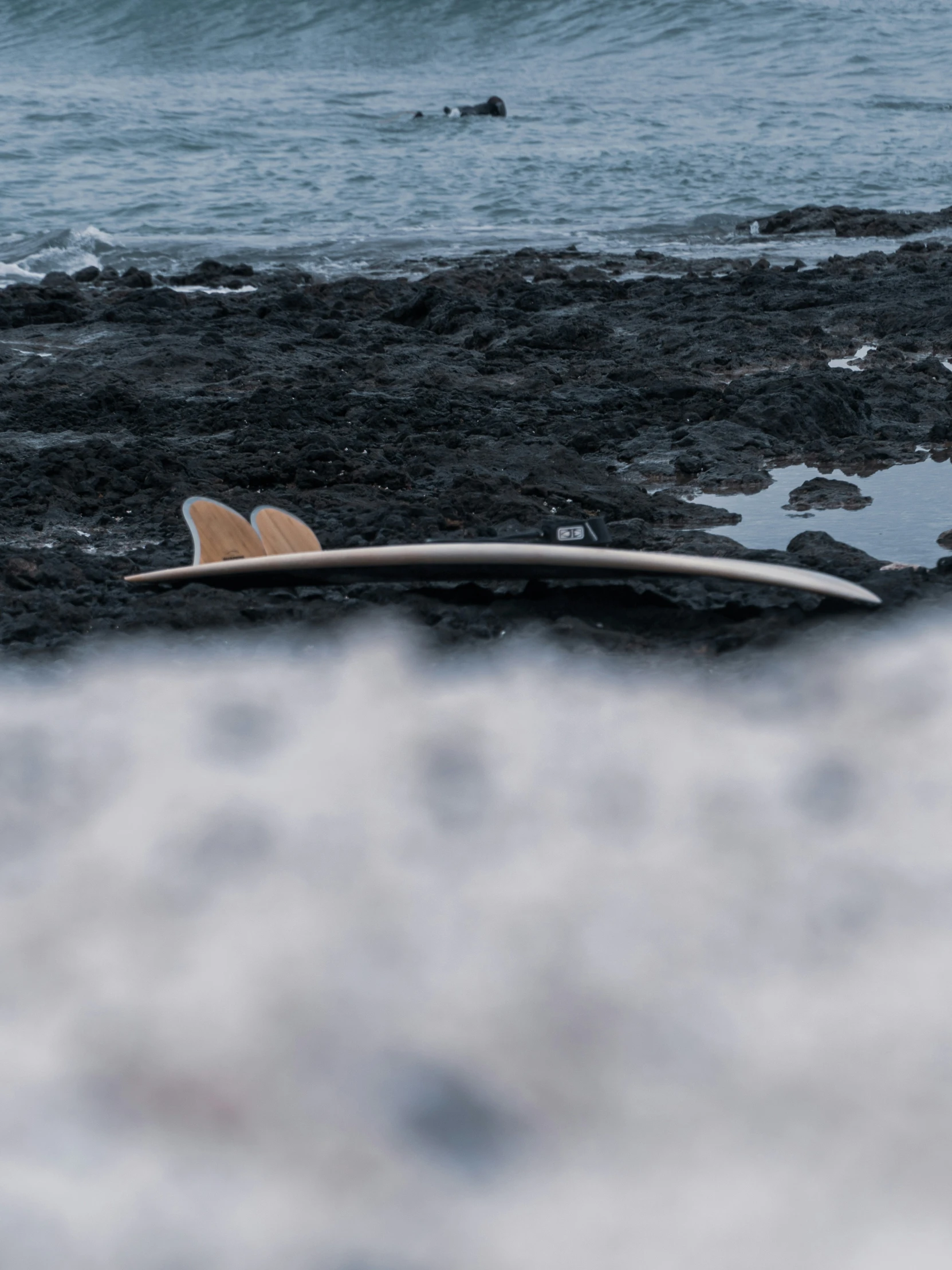 two surfboards are laying in the sea with people and a dog in the water