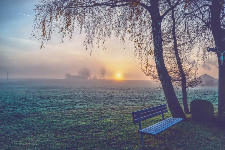 two park benches sitting next to trees in a park