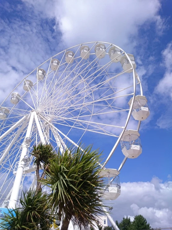 a big wheel sitting next to a tall palm tree