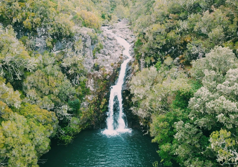 a group of trees that are over some water