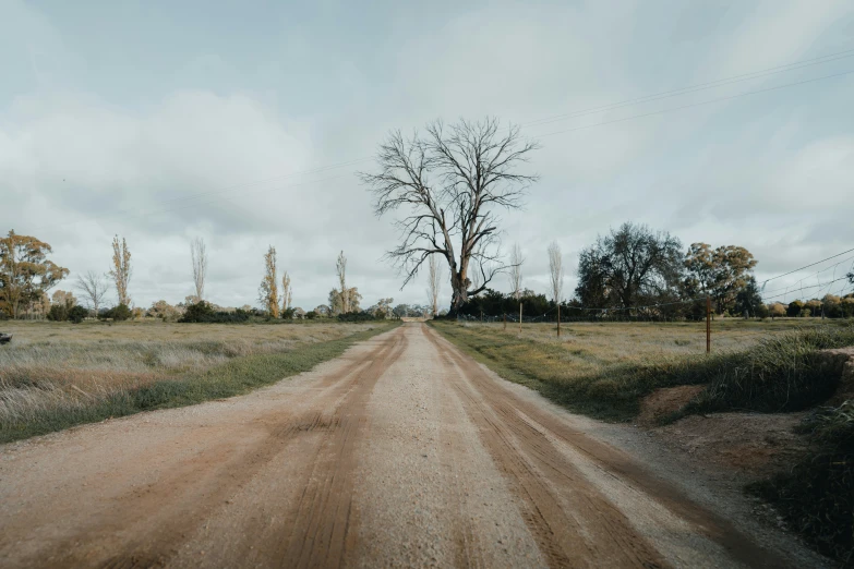 a dirt road is shown through the grass