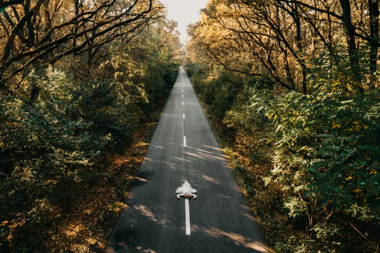 an empty street through a line of trees