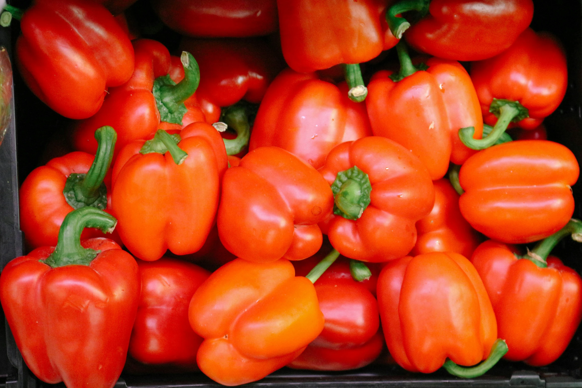 an assortment of red peppers are stacked on each other