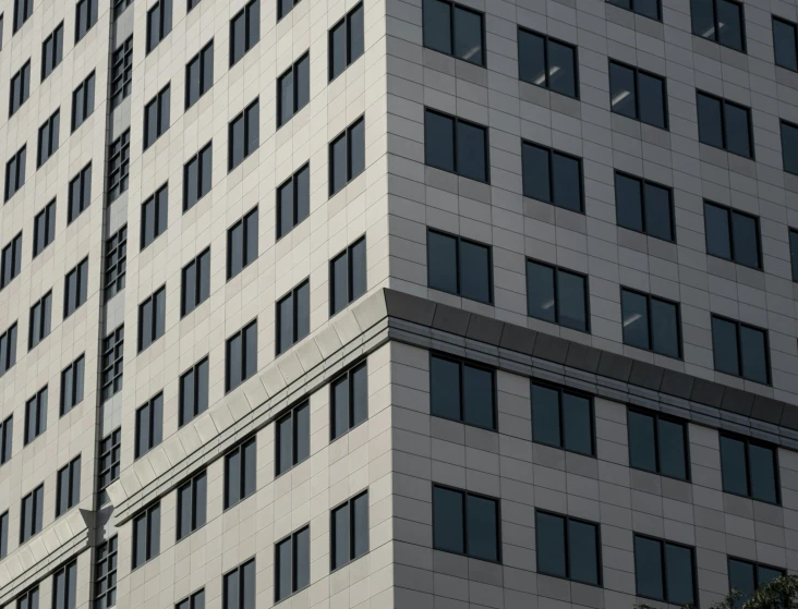 a tall, slender gray building is next to a leafy tree