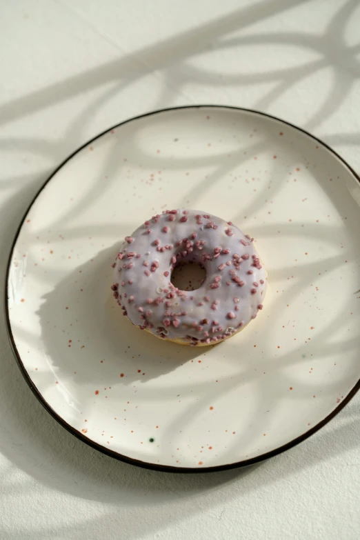 a single donut on a plate near the shadows