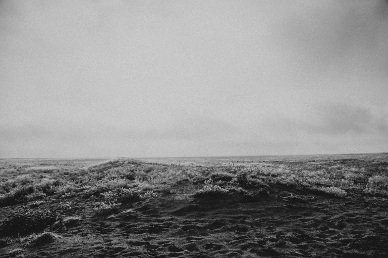 black and white po of grass and mountains