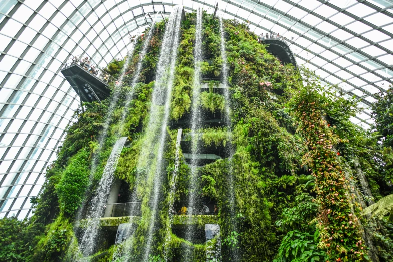 the gardens by the bay waterfall is covered in greenery