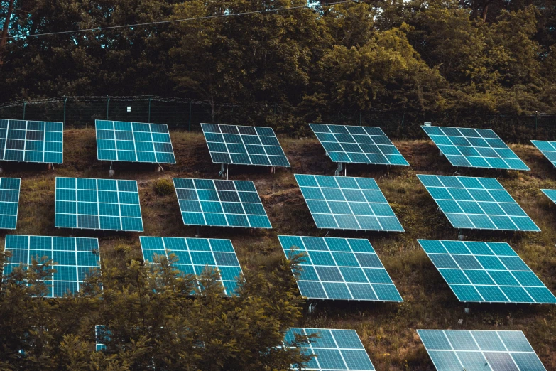 many solar panels laid out together in the yard