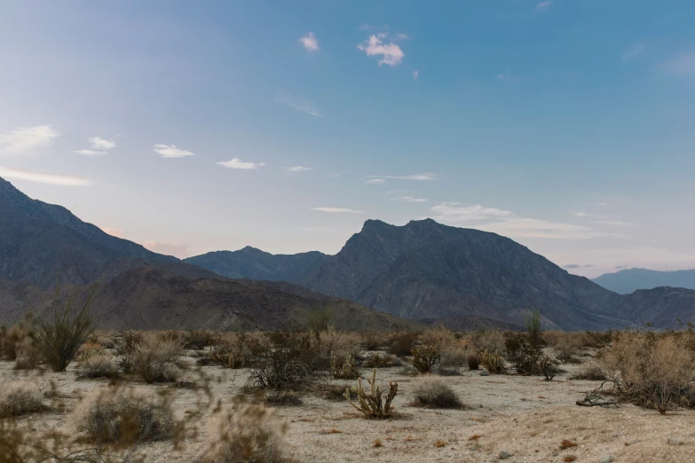 an empty dirt plain with bushes and mountains