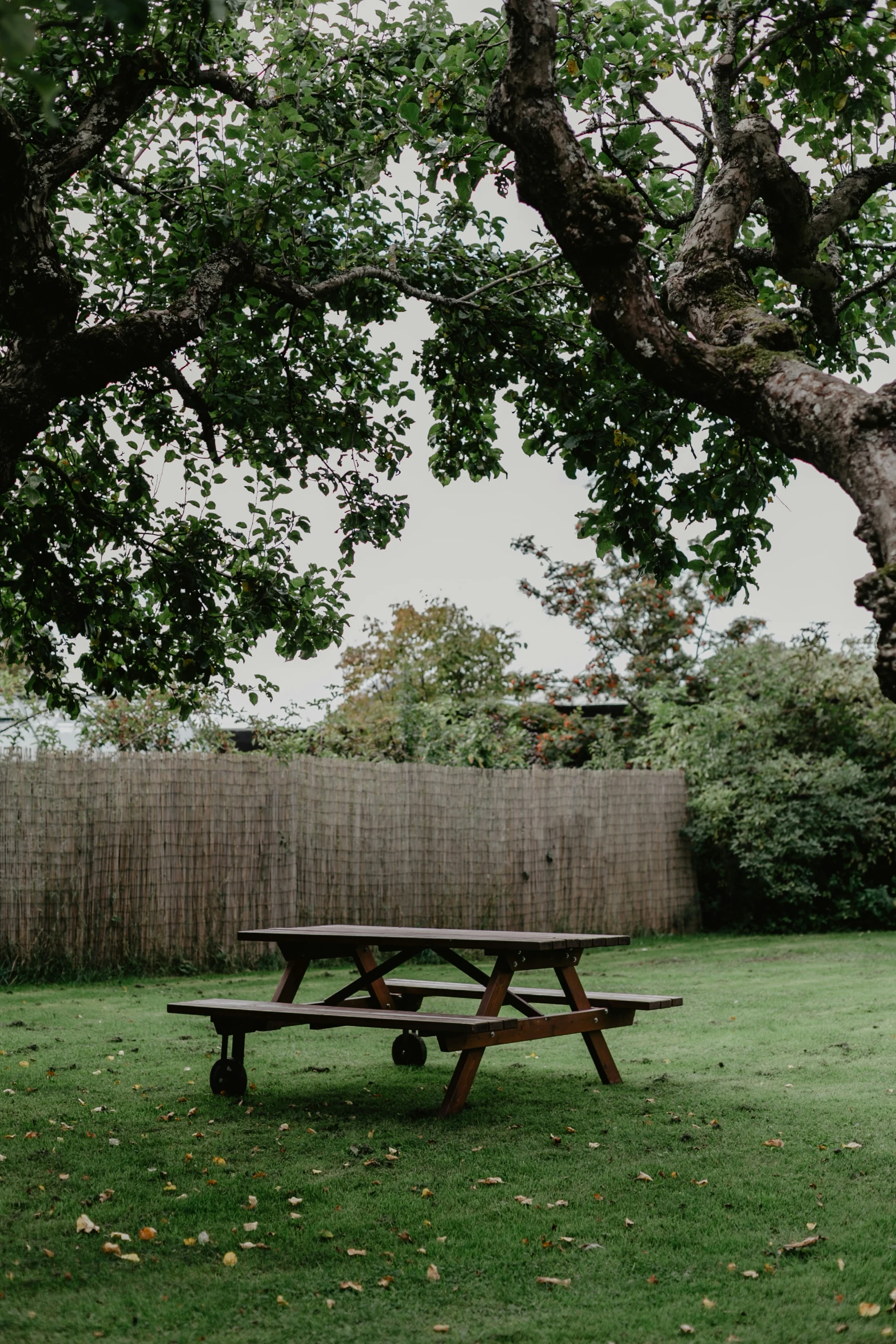 a picnic table next to a small wooden fence