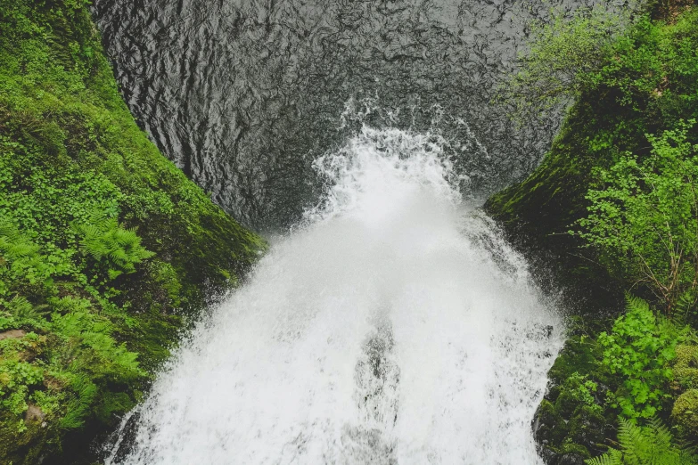 a waterfall running through the woods into the water