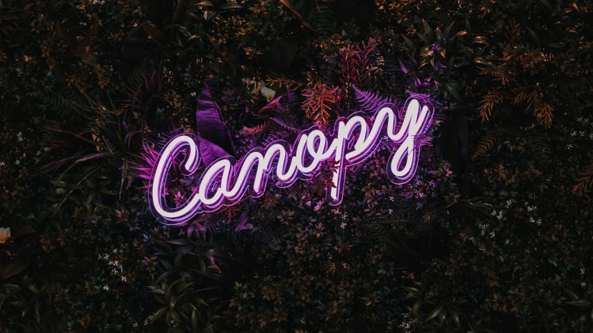 a neon sign that reads'canopy'on it