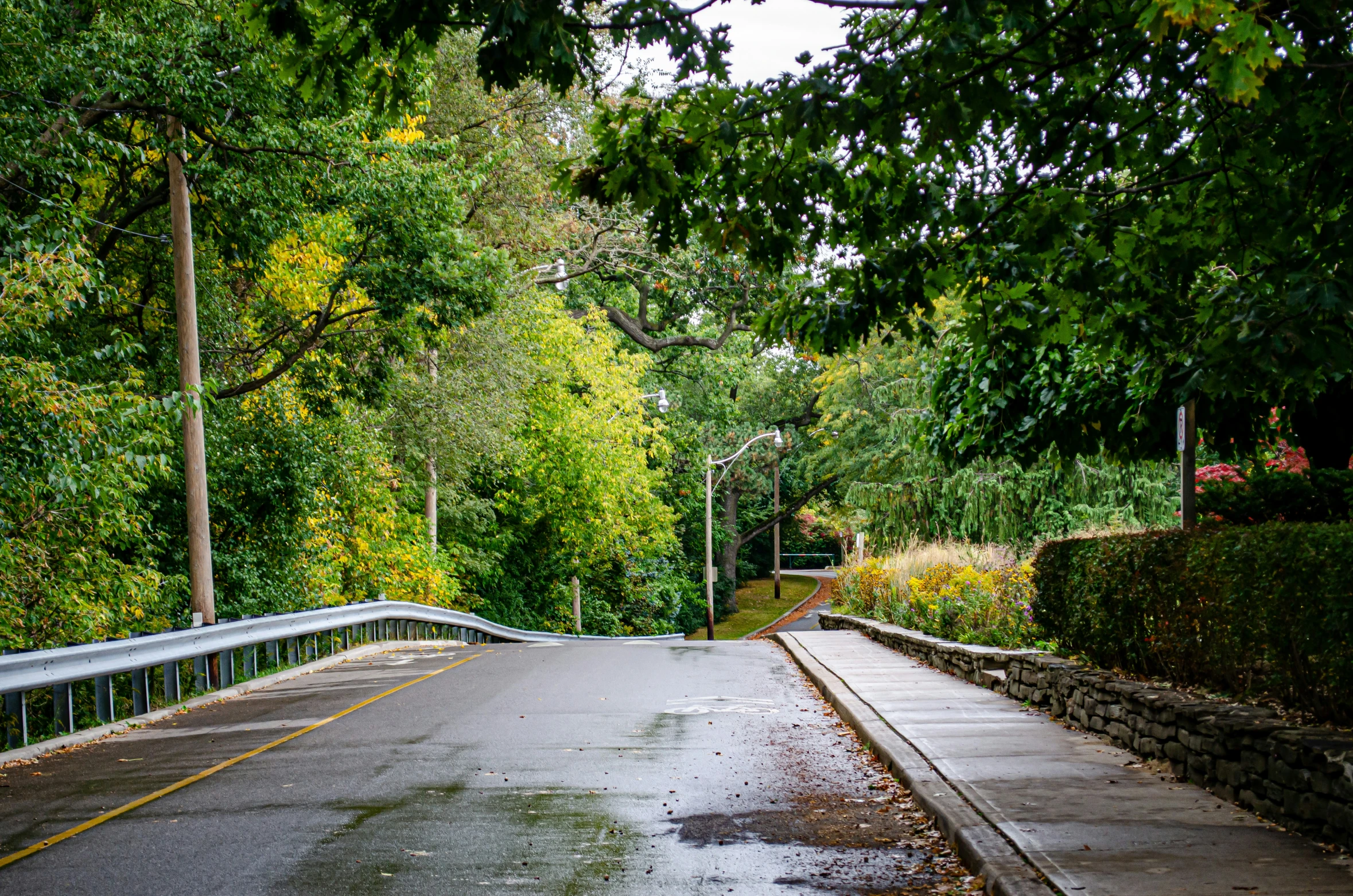 an empty road surrounded by a forest during the day