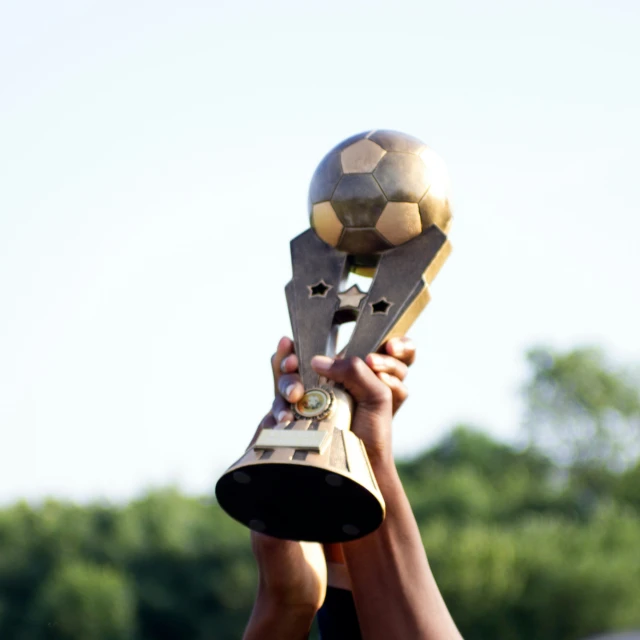 an image of a person holding up a golden trophy
