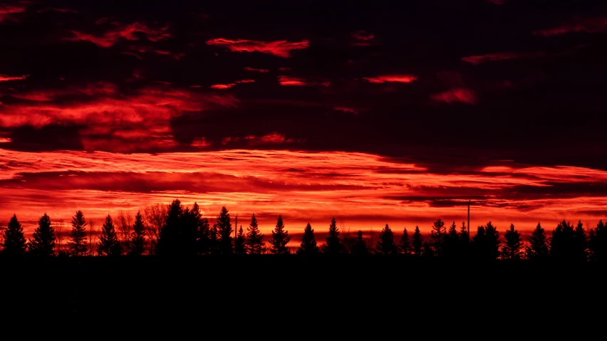 there is a bright red sunset over some trees