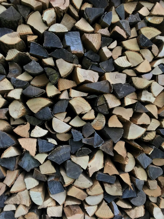 closeup view of large pile of logs