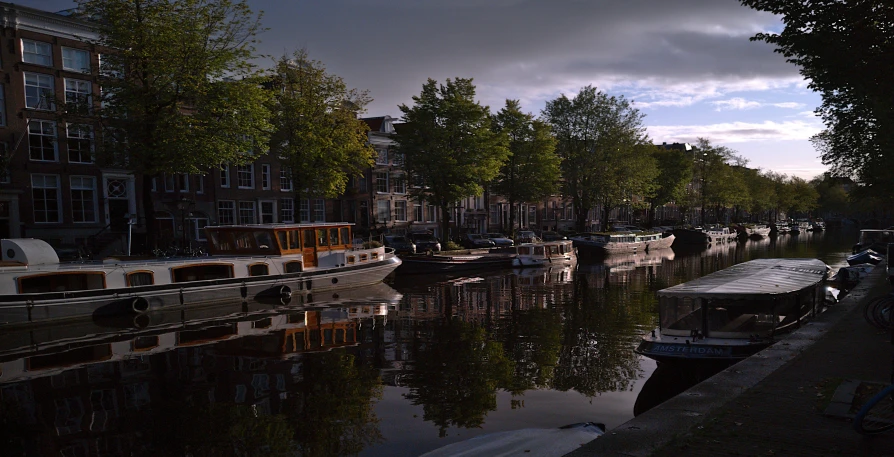 boats docked next to a row of houses on the water