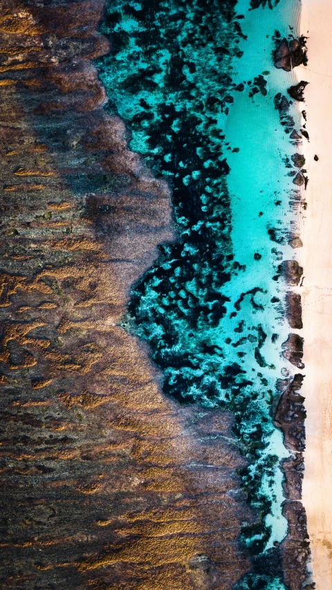 aerial view of the ocean with sandy shore and green sea