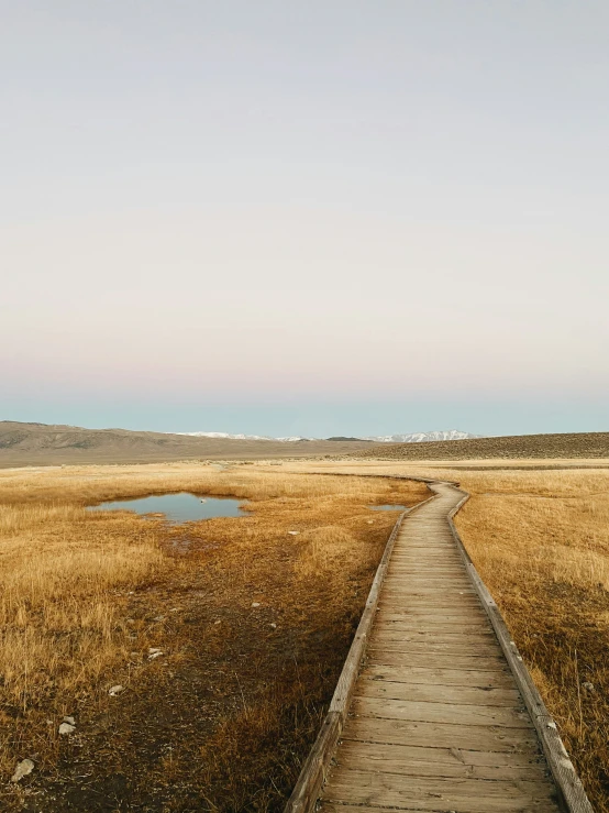 a walkway leads down into an empty, dried grassland