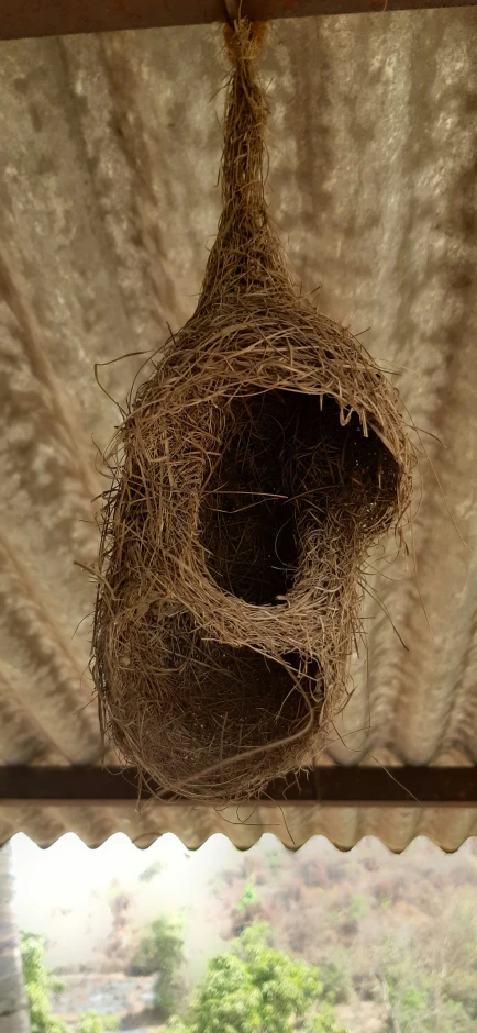 a birdhouse is hanging from the roof of the house