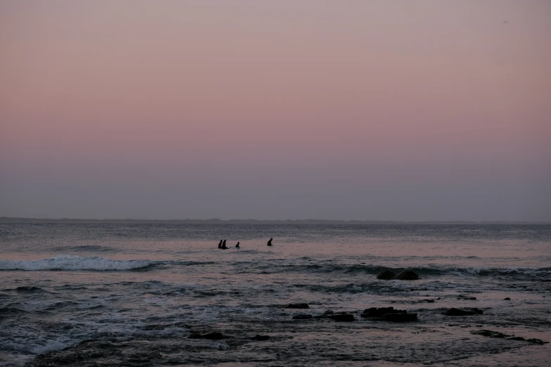 some surfers ride their boards across the water at sunset