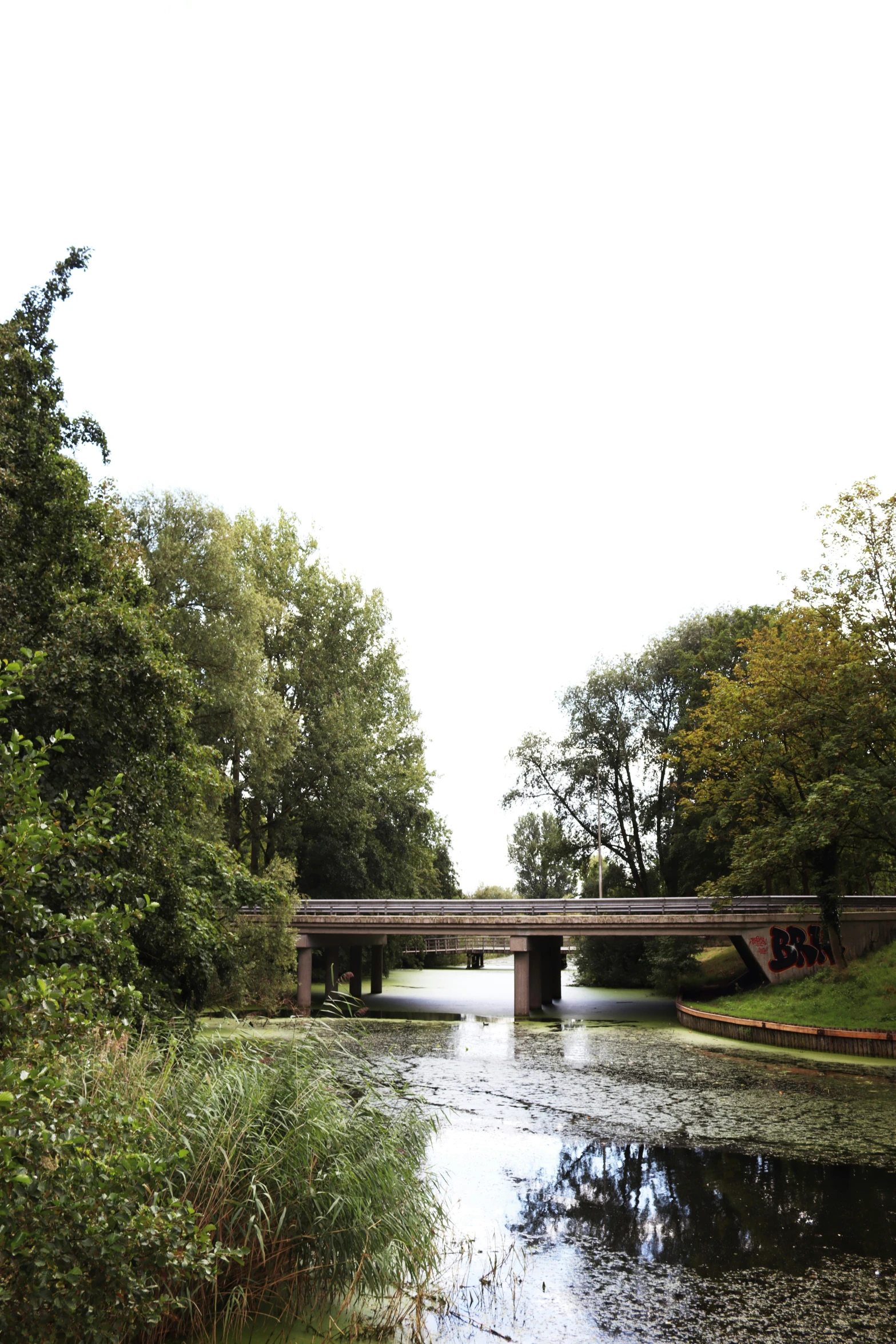 an elevated bridge crossing over the width of a river