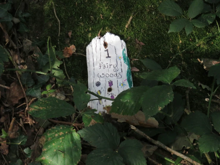 the sign is written on a wooden board on the grass