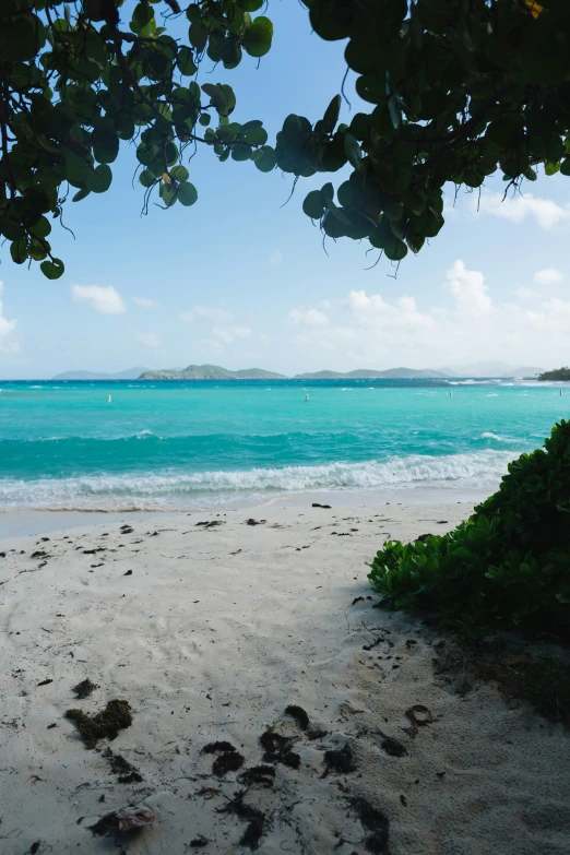 an idyllic beach with a blue water and trees