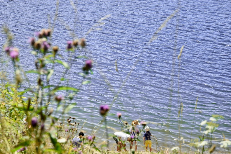 a couple of people with a dog standing near the water