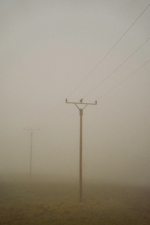 an empty street lamp in the middle of a foggy field