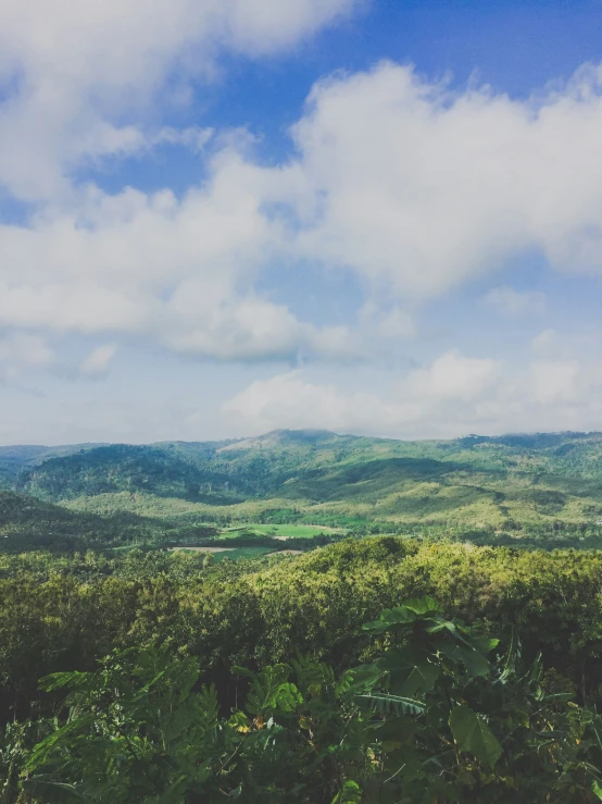 the forest with mountains in the distance under cloudy skies