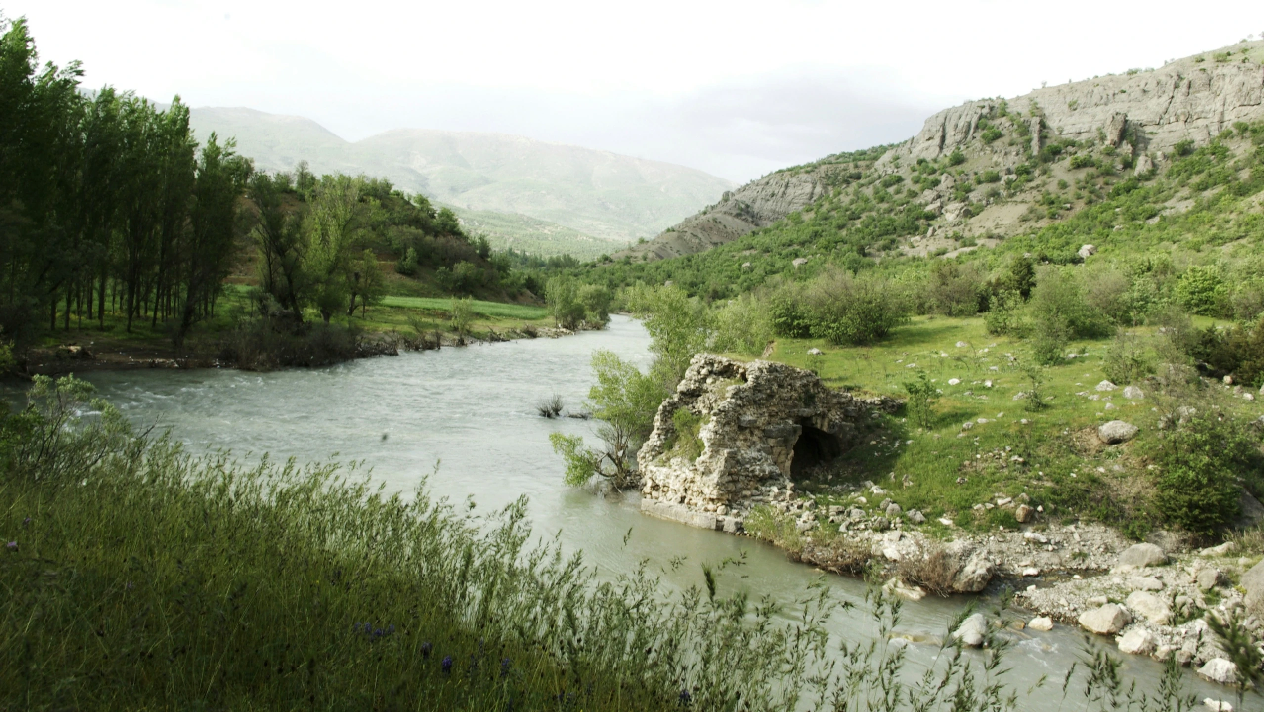 a river flowing through lush green countryside next to a forest