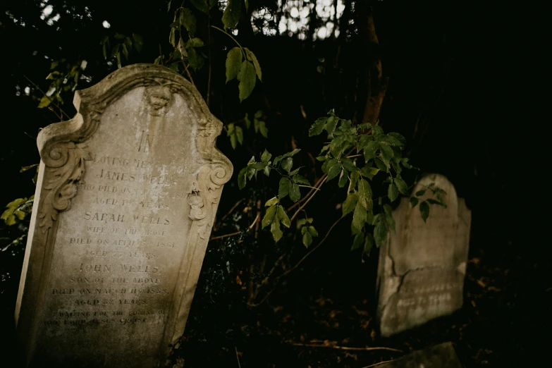 there are two graves sitting side by side