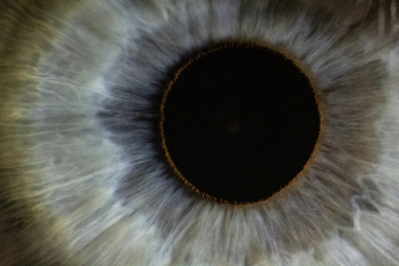 the center of an eye that is very close