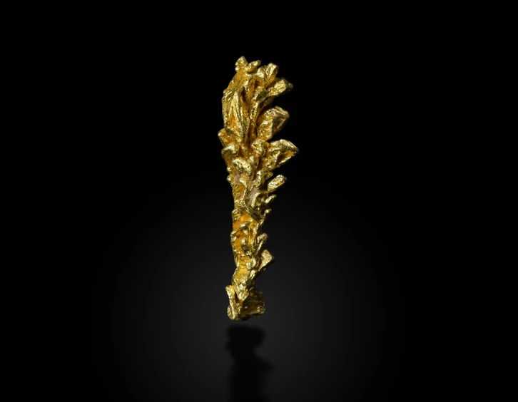 a gold spiky stalk with a black background