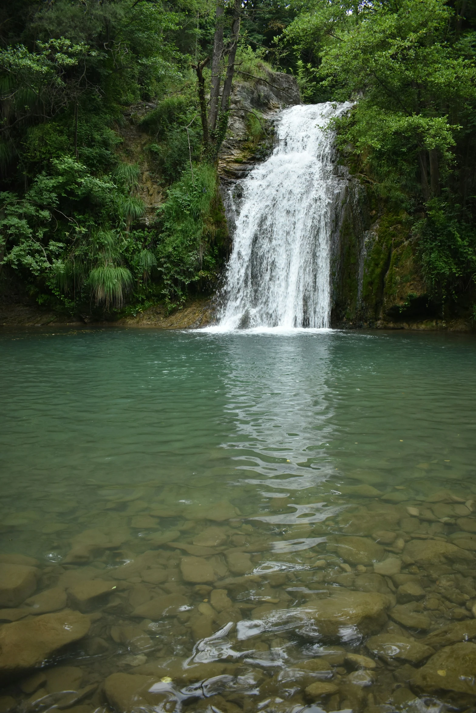 a water fall surrounded by lush green trees