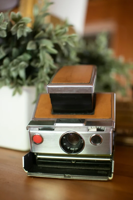 an old fashioned camera sitting on a table next to a potted plant