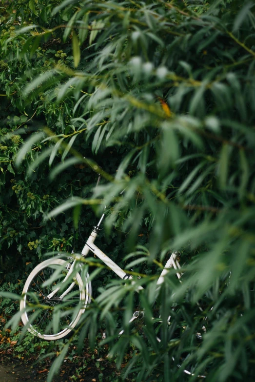 a person sitting on a bench next to a bicycle