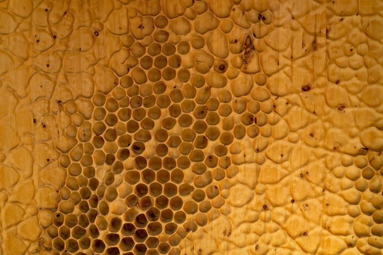 a po of a wooden table with some bee holes on it