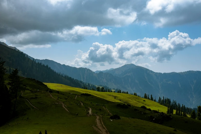 a mountain meadow and trees on a cloudy day