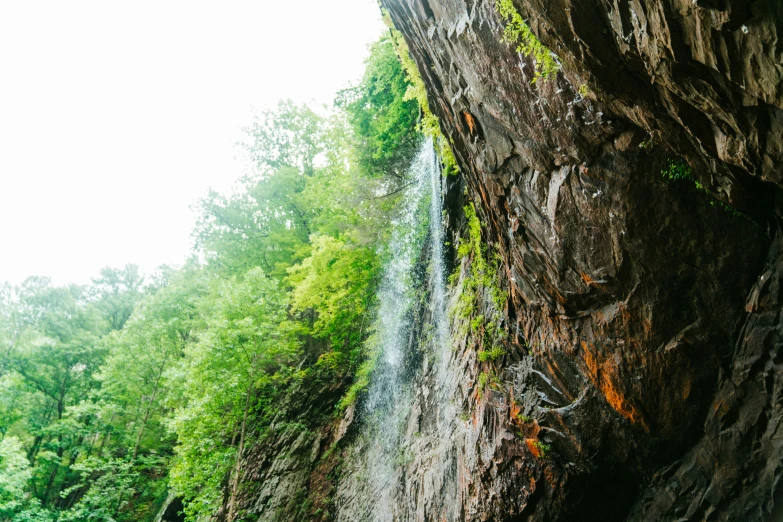 waterfall coming down from a cliff in a forest