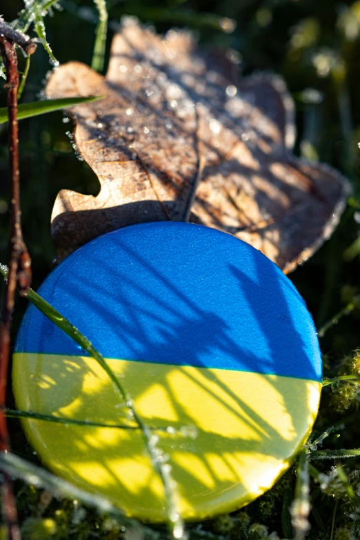 a painted circular object with leaves on the ground