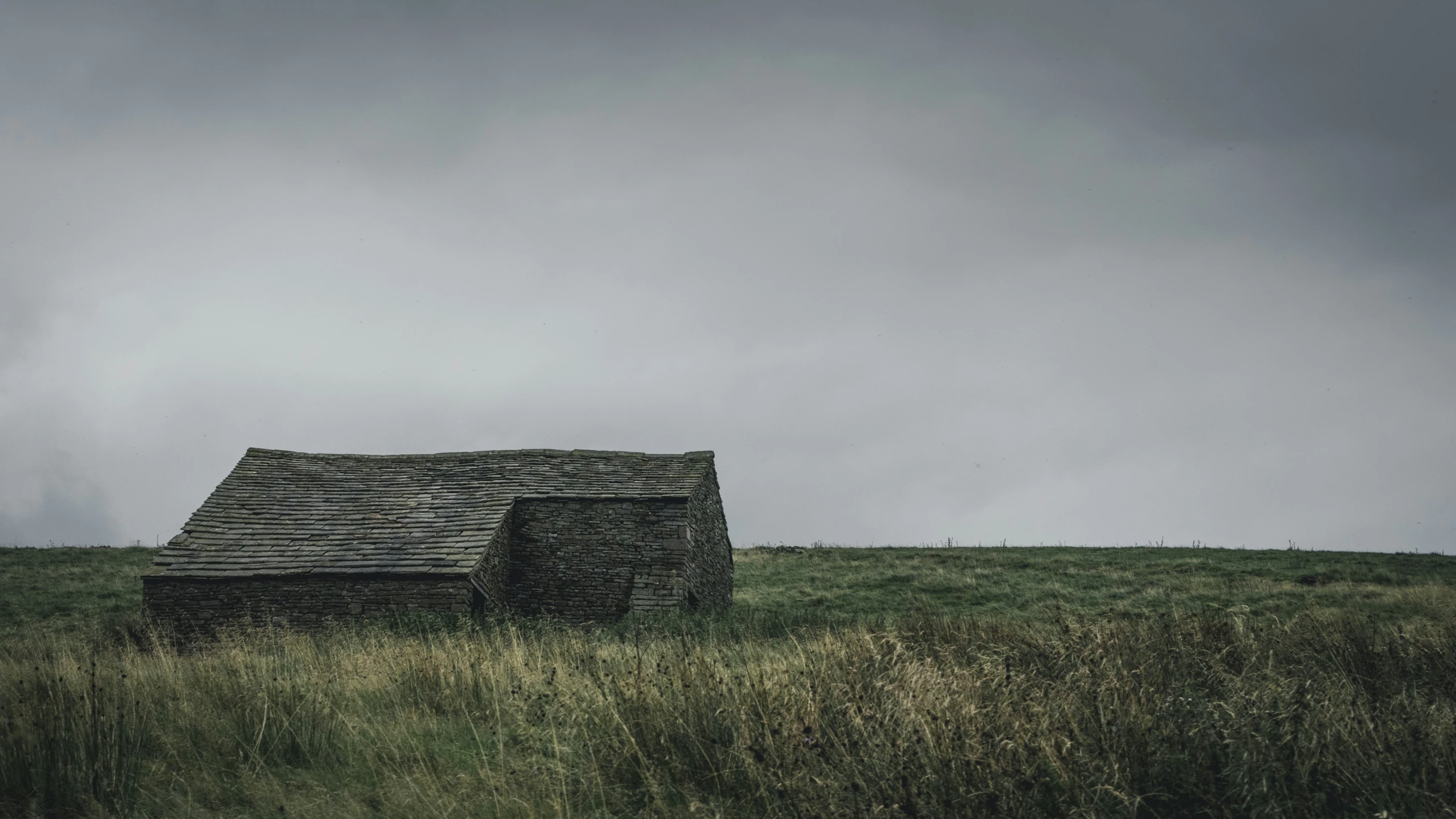 a lone old farm house is surrounded by grass