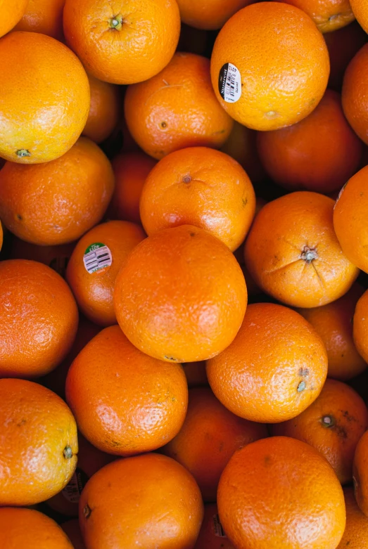 closeup view of an orange in full pile