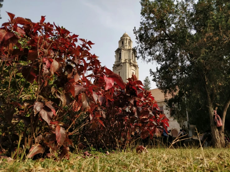 a tall church steeple rises above a green park