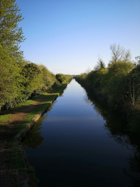 a very long stretch of water in between trees