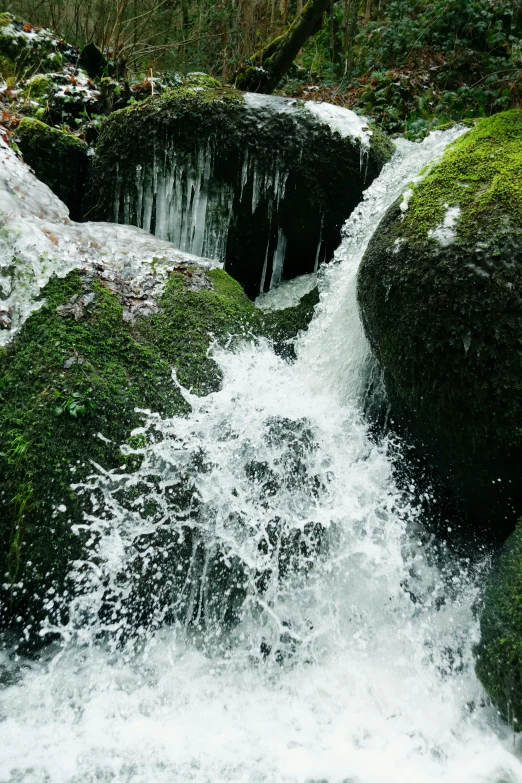 a rushing stream in an alpine area covered in moss